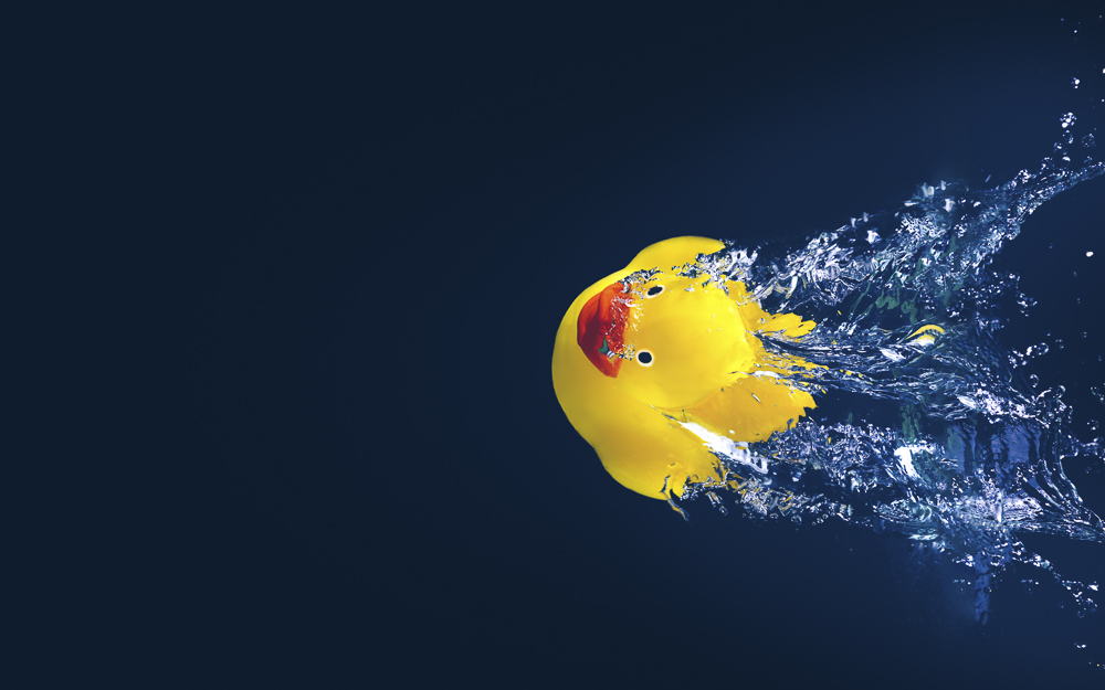 Platz 2 Daniela Korn